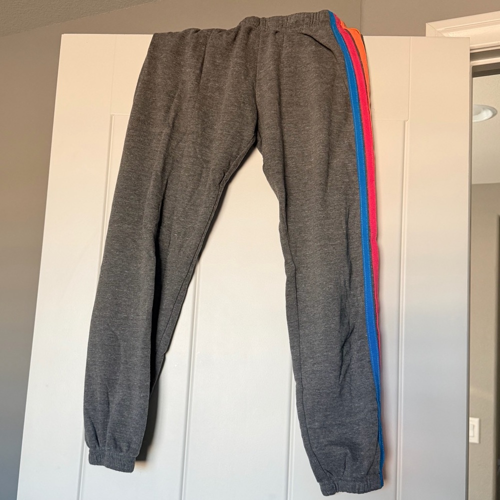 Aviator Nation Gray Sweatpants with Vibrant Stripes